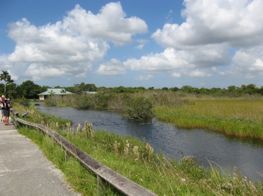 Walktrail i Everglades