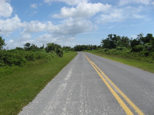Den eneste vej gennem Everglades