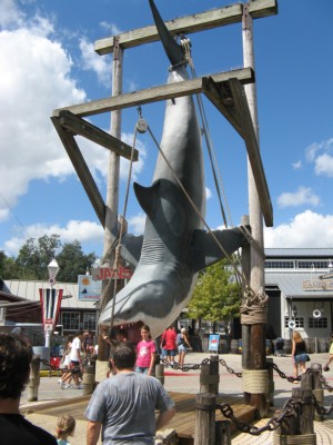 Jaws